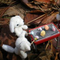 Mushroom Festival Is So Much Fun!  きのこ祭りは楽しい